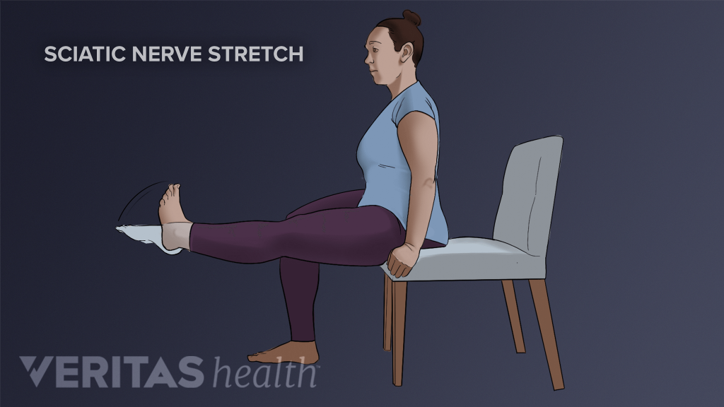 Download Sciatic nerve pain pictures 1 SciaticNerveStretch
