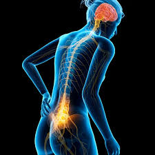 Download Sciatic nerve pain pictures 133 image14