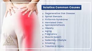 Download Sciatic nerve pain pictures 208 image18