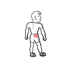 Download Sciatic nerve pain pictures 400 images113