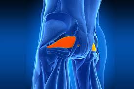 Download Sciatic nerve pain pictures 322 images124