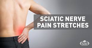 Download Sciatic nerve pain pictures 313 images145