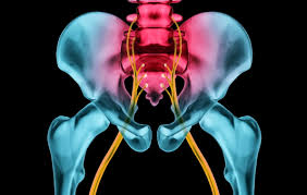 Download Sciatic nerve pain pictures 160 images186