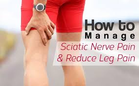 Download Sciatic nerve pain pictures 235 images187