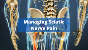 Download Sciatic nerve pain pictures 94 images190