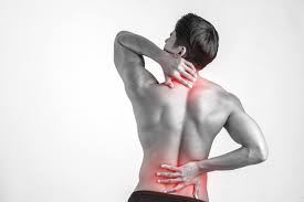 Download Sciatic nerve pain pictures 384 images191