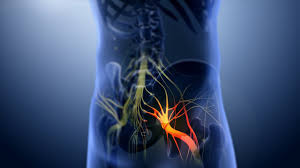 Download Sciatic nerve pain pictures 275 images196