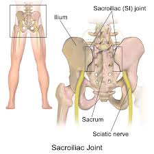 Download Sciatic nerve pain pictures 242 images200