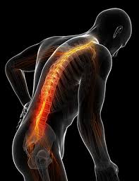 Download Sciatic nerve pain pictures 262 images217