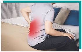 Download Sciatic nerve pain pictures 263 images224