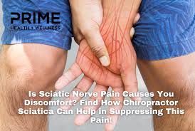 Download Sciatic nerve pain pictures 161 images230