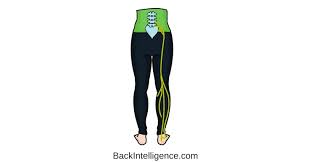 Download Sciatic nerve pain pictures 401 images240
