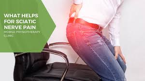 Download Sciatic nerve pain pictures 274 images241
