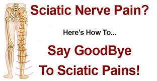 Download Sciatic nerve pain pictures 113 images249