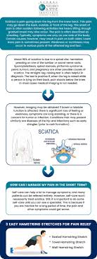 Download Sciatic nerve pain pictures 122 images259