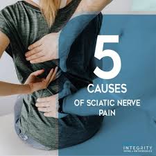 Download Sciatic nerve pain pictures 210 images263