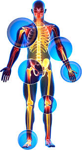 Download Sciatic nerve pain pictures 97 images269