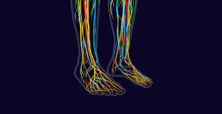 Download Sciatic nerve pain pictures 230 images35
