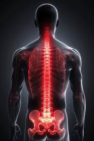 Download Sciatic nerve pain pictures 267 images51