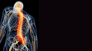 Download Sciatic nerve pain pictures 266 images55