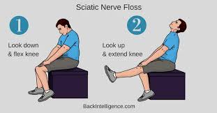 Download Sciatic nerve pain pictures 254 images65