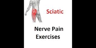 Download Sciatic nerve pain pictures 396 images81