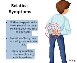 Download Sciatic nerve pain pictures 215 images83