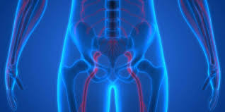 Download Sciatic nerve pain pictures 198 images98