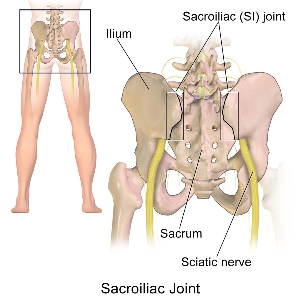 Download Sciatic nerve pain pictures 18 sciatic nerve pain owens chiropractic federal way wa