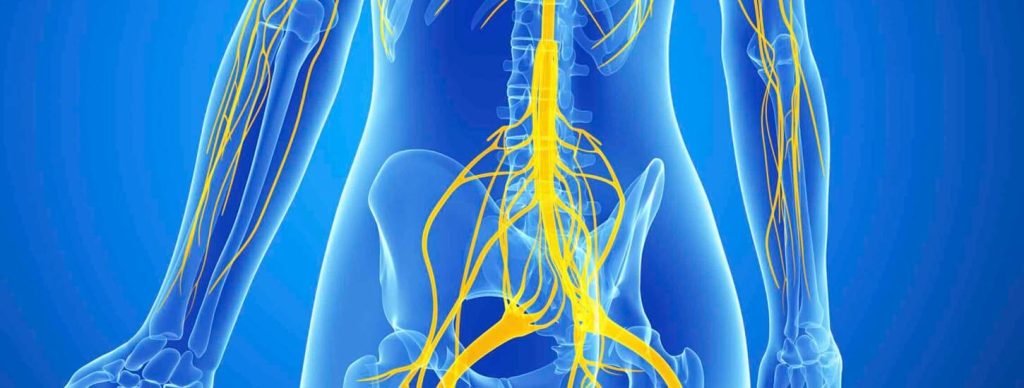 Download Sciatic nerve pain pictures 41 sciatic nerve pain relief