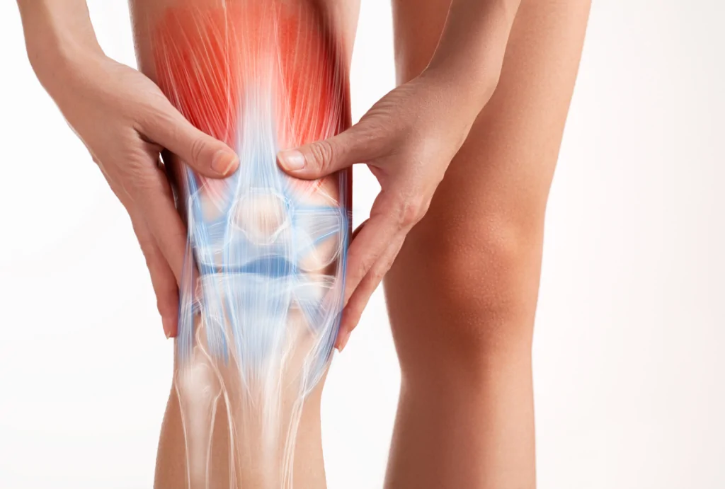 Download Sciatic nerve pain pictures 80 sciatica knee pain