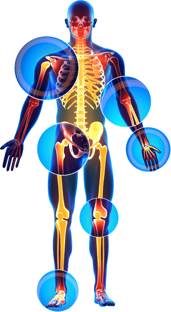 Download Sciatic nerve pain pictures 26 skelton icon large 563x1024 1